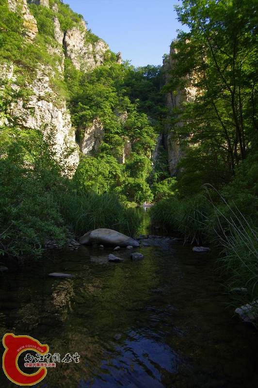 _IGP6621.jpg