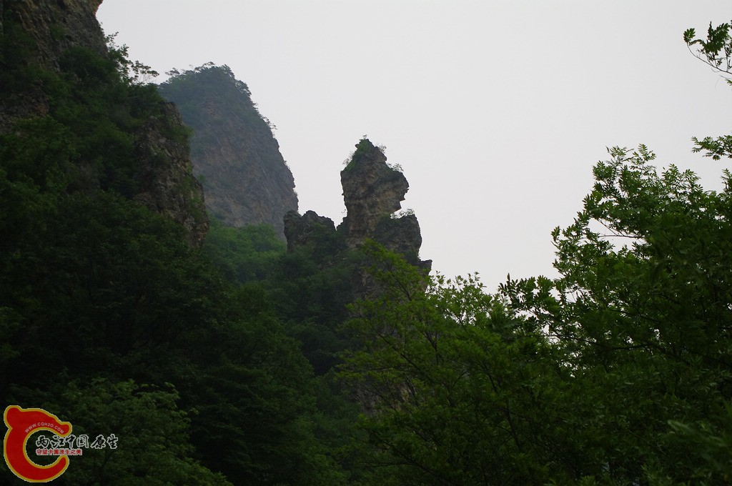 _IGP7337.jpg