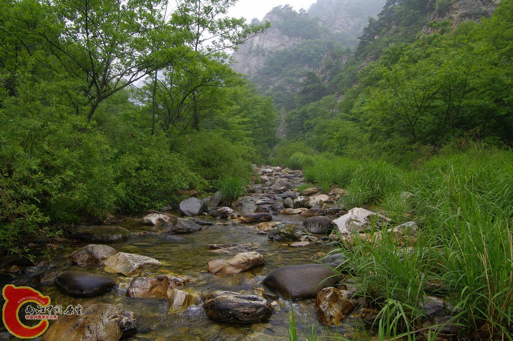 _IGP7566.jpg