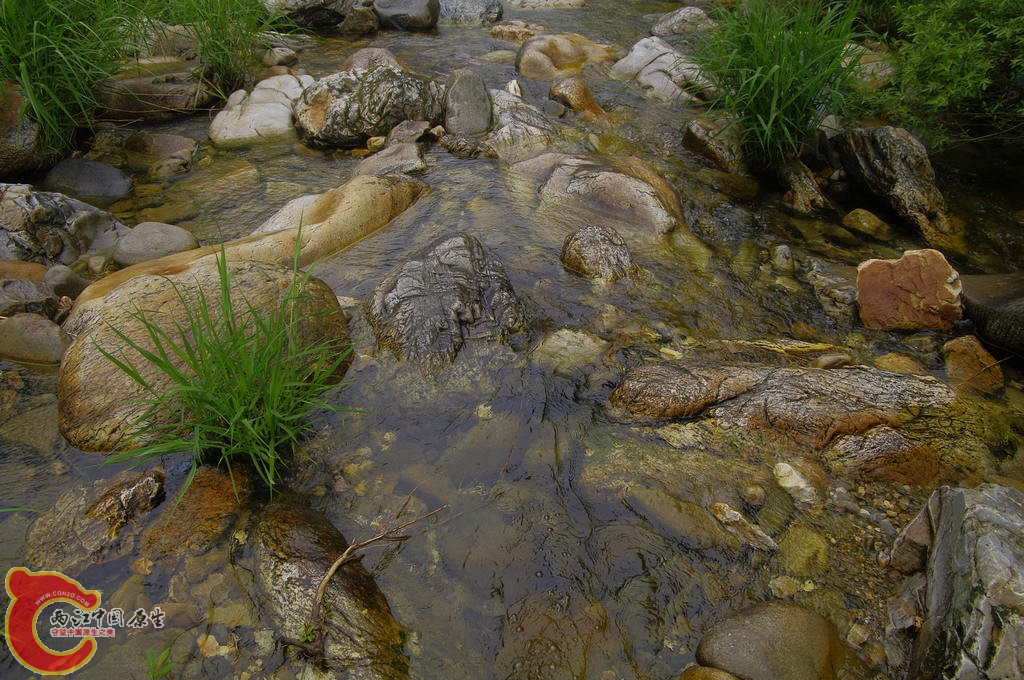 _IGP7583.jpg