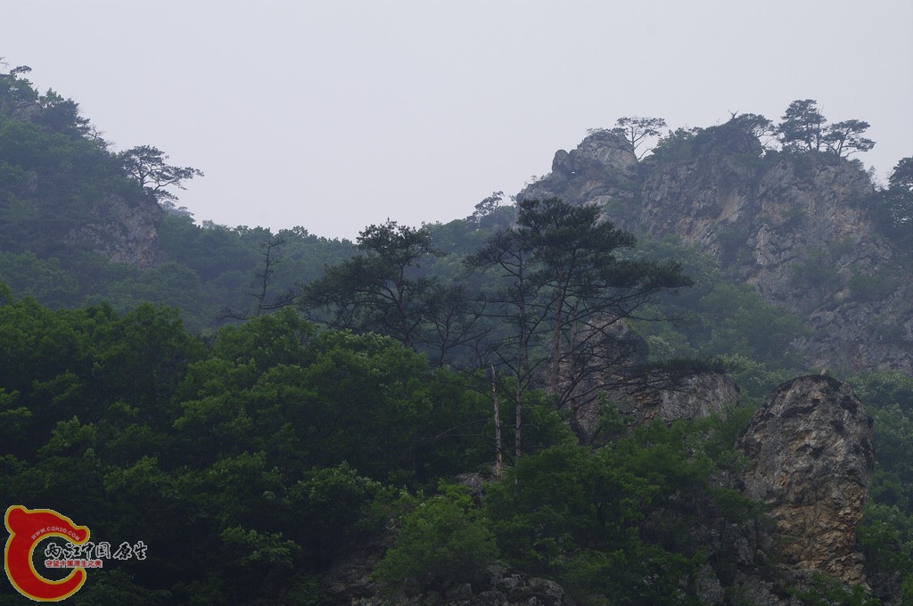 赤松栎林2.jpg