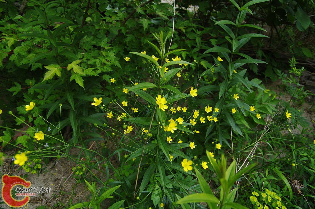 _IGP6191.jpg