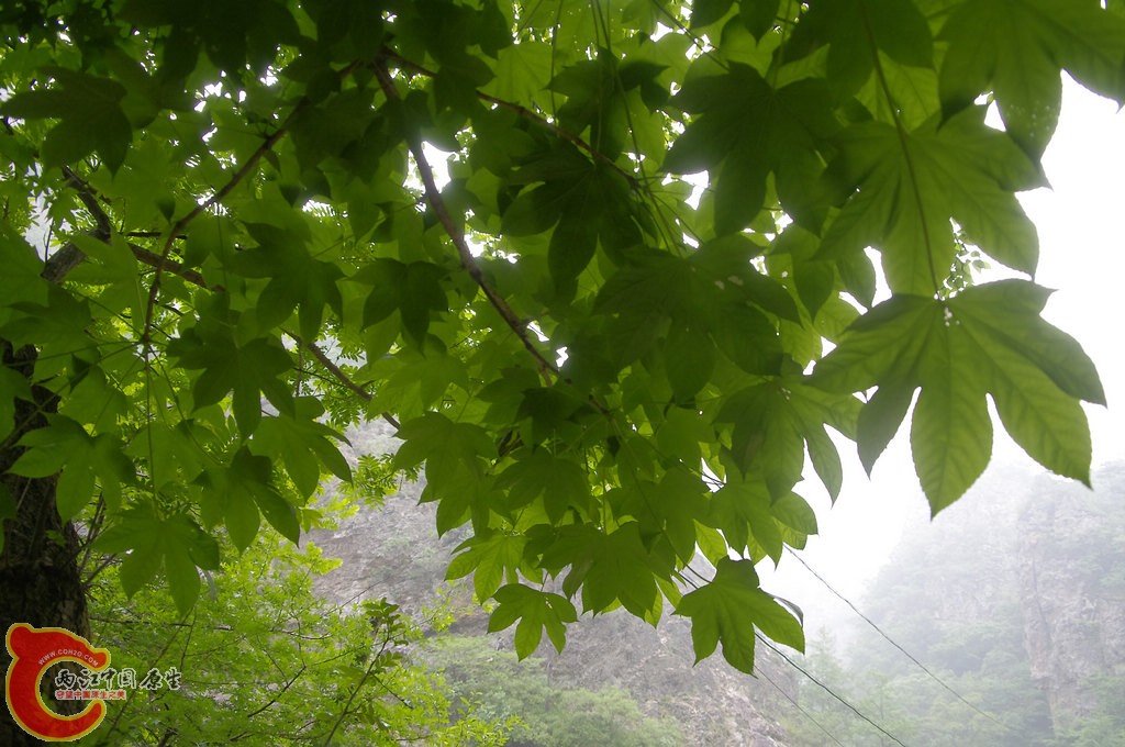 _IGP7552.jpg