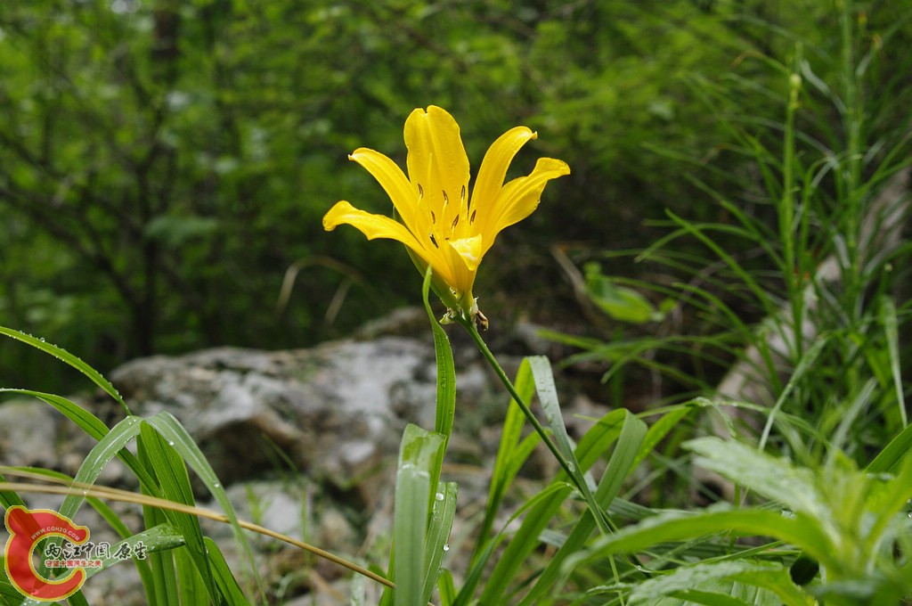 _IGP7662.jpg