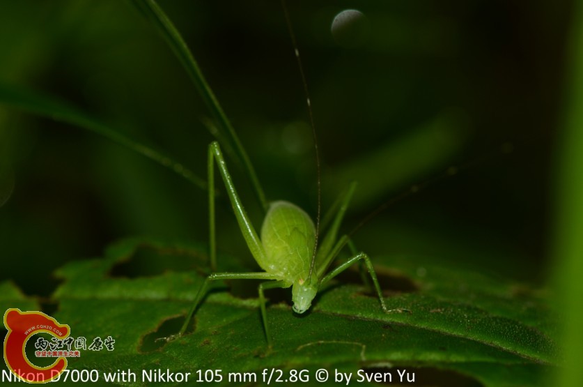 QQ截图20120610203142.jpg