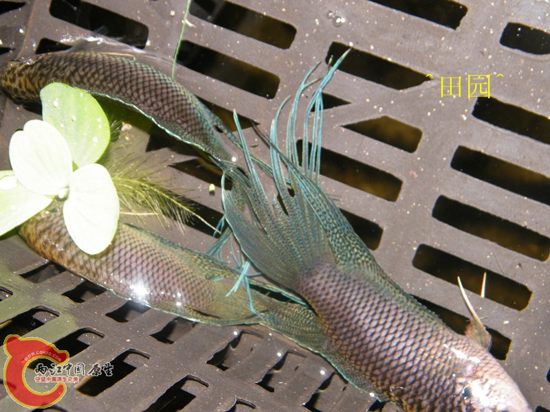 俯拍深圳13.jpg