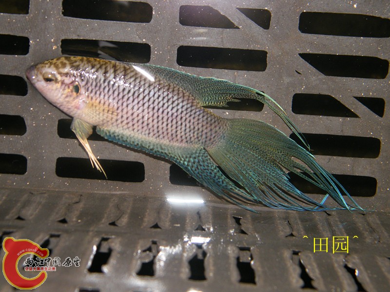 俯拍深圳14.jpg