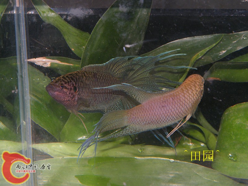 深圳展示2.jpg