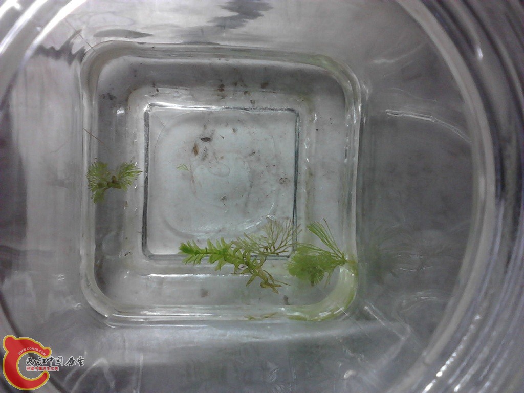 P11-06-12_02-35.jpg