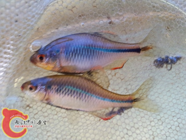 2012-06-09 13.59.15.jpg