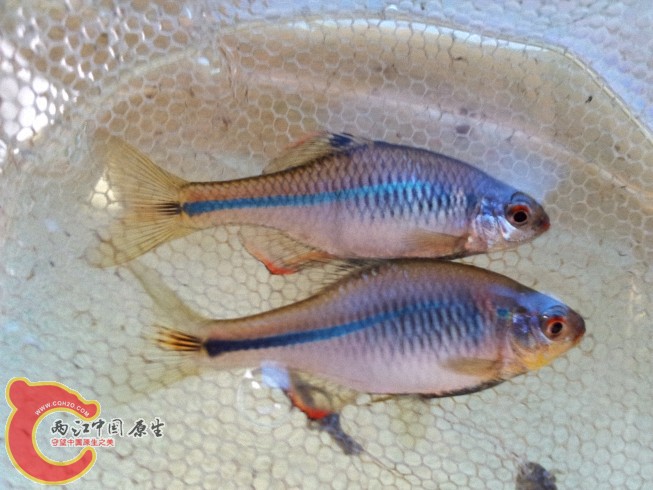 2012-06-09 14.05.44.jpg