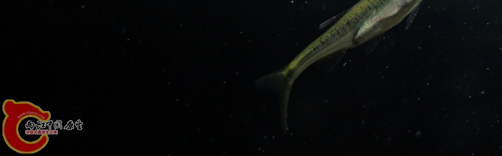 IMG_7456.jpg