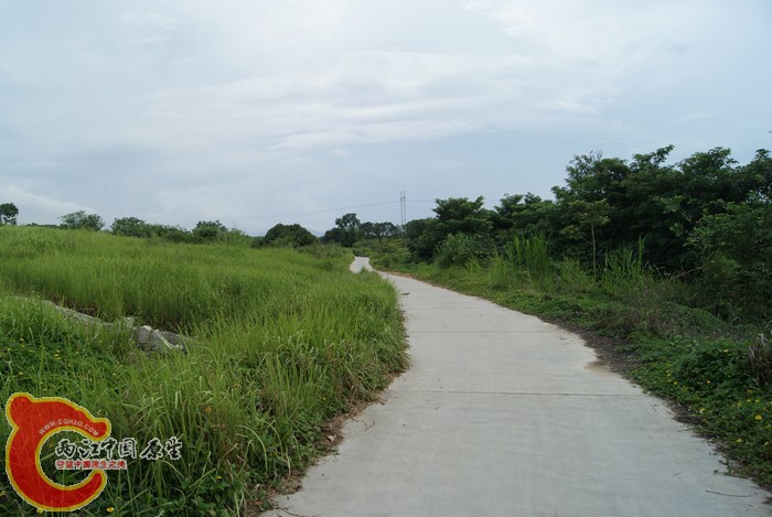 01.jpg