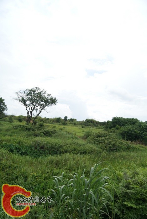 07.jpg