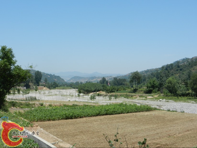 77.jpg