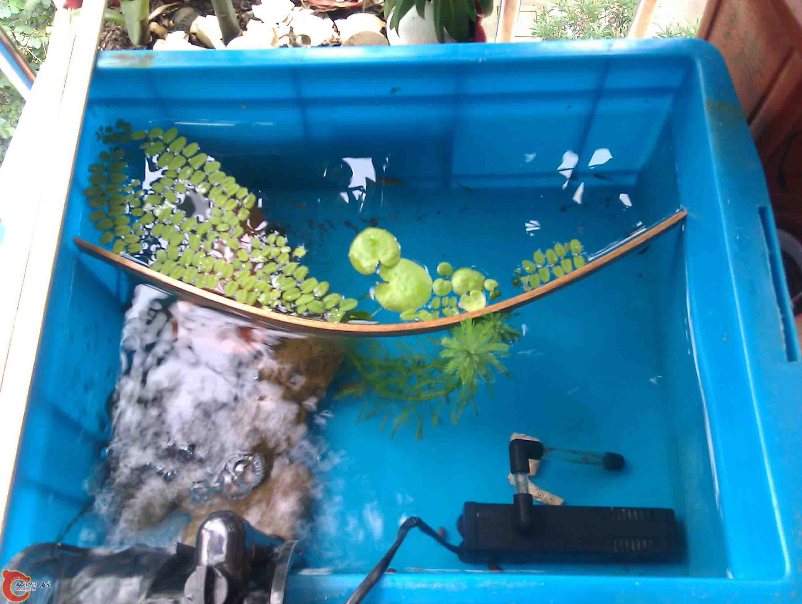 IMAG0463.jpg