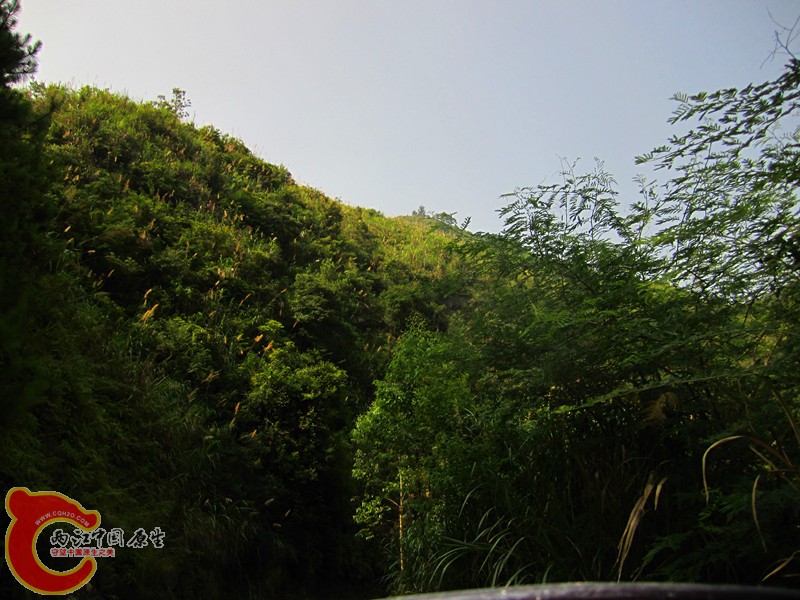 IMG_4596_副本.jpg