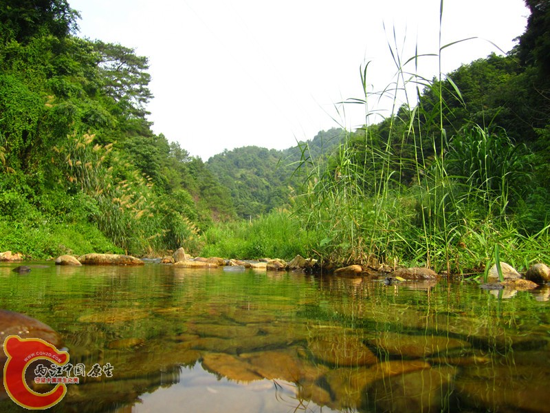 IMG_4615_副本.jpg