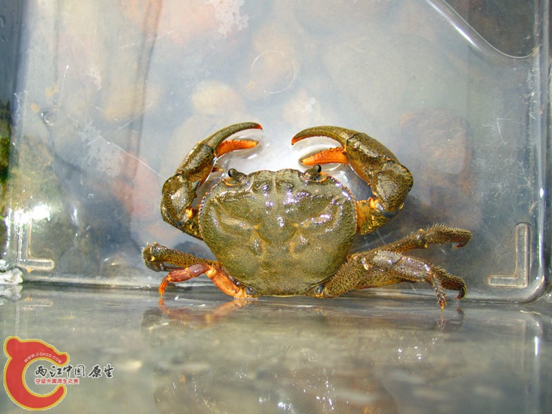 IMG_4618_副本.jpg