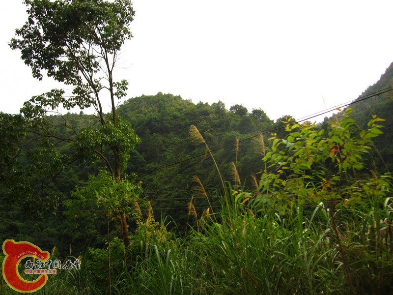 IMG_4621_副本.jpg