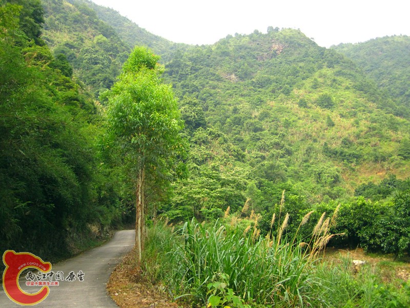 IMG_4626_副本.jpg