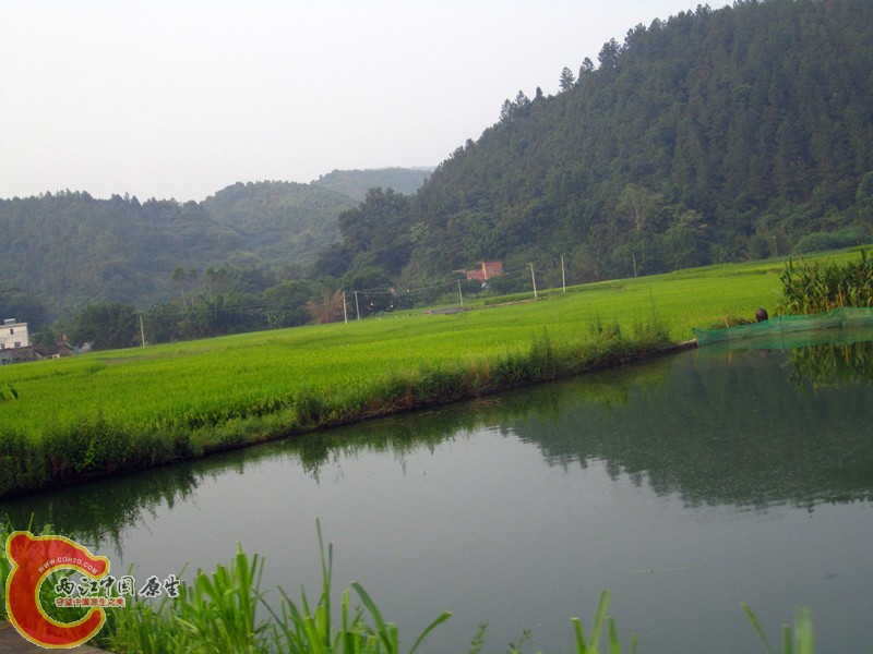 IMG_4650_副本.jpg
