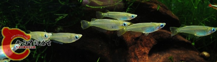 IMG_2572.jpg