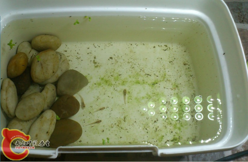 未命名o78.jpg