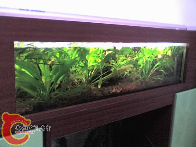 04-02-10_2347.jpg