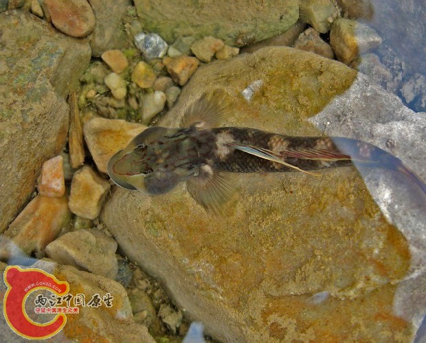 QQ图片20120614220456.jpg