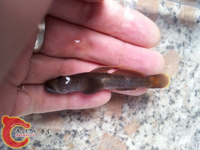 dcim@camera@2012-06-15 07_3431.jpg