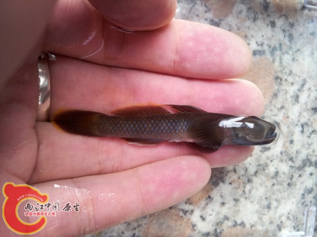 dcim@camera@2012-06-15 07_3432.jpg