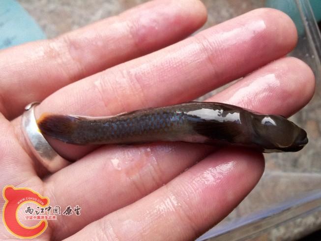 dcim@camera@2012-06-15 07_3434.jpg