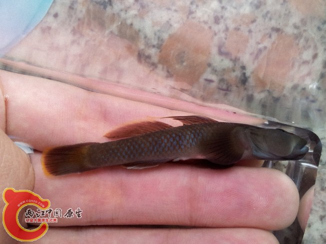 dcim@camera@2012-06-15 07_3440.jpg