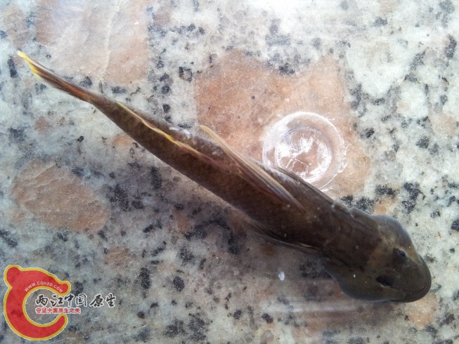 dcim@camera@2012-06-15 07_3443.jpg