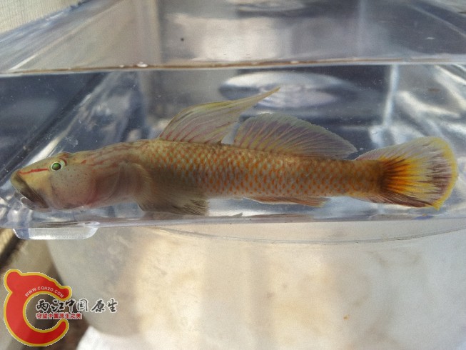 dcim@camera@2012-06-15 11_3450.jpg