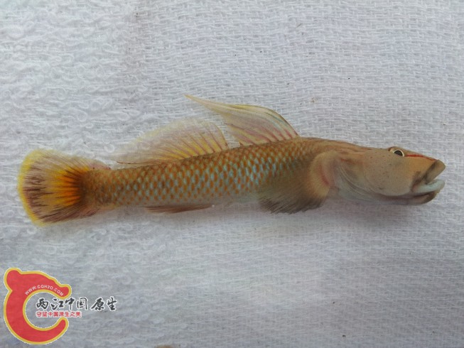 dcim@camera@2012-06-15 11_3452.jpg