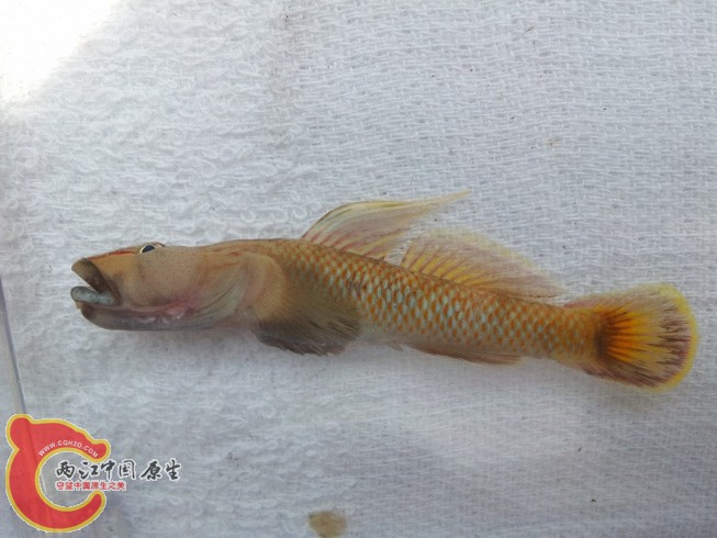 dcim@camera@2012-06-15 11_3453.jpg