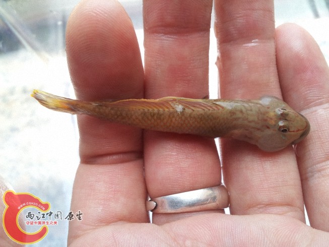 dcim@camera@2012-06-15 11_3455.jpg