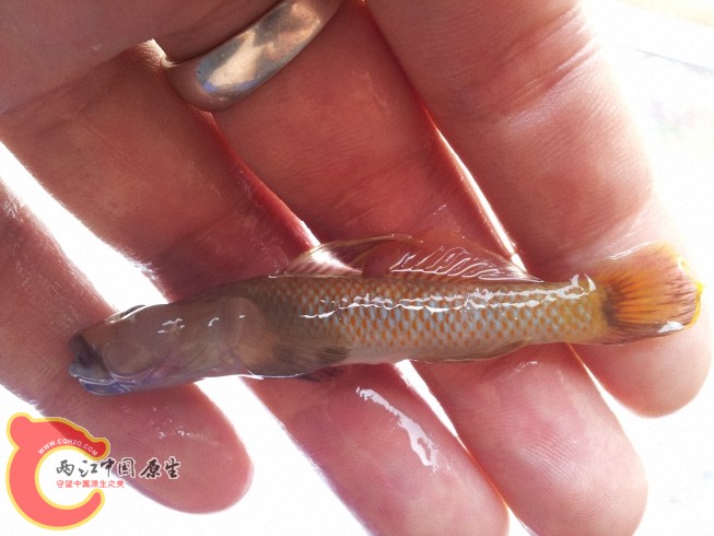 dcim@camera@2012-06-15 11_3457.jpg