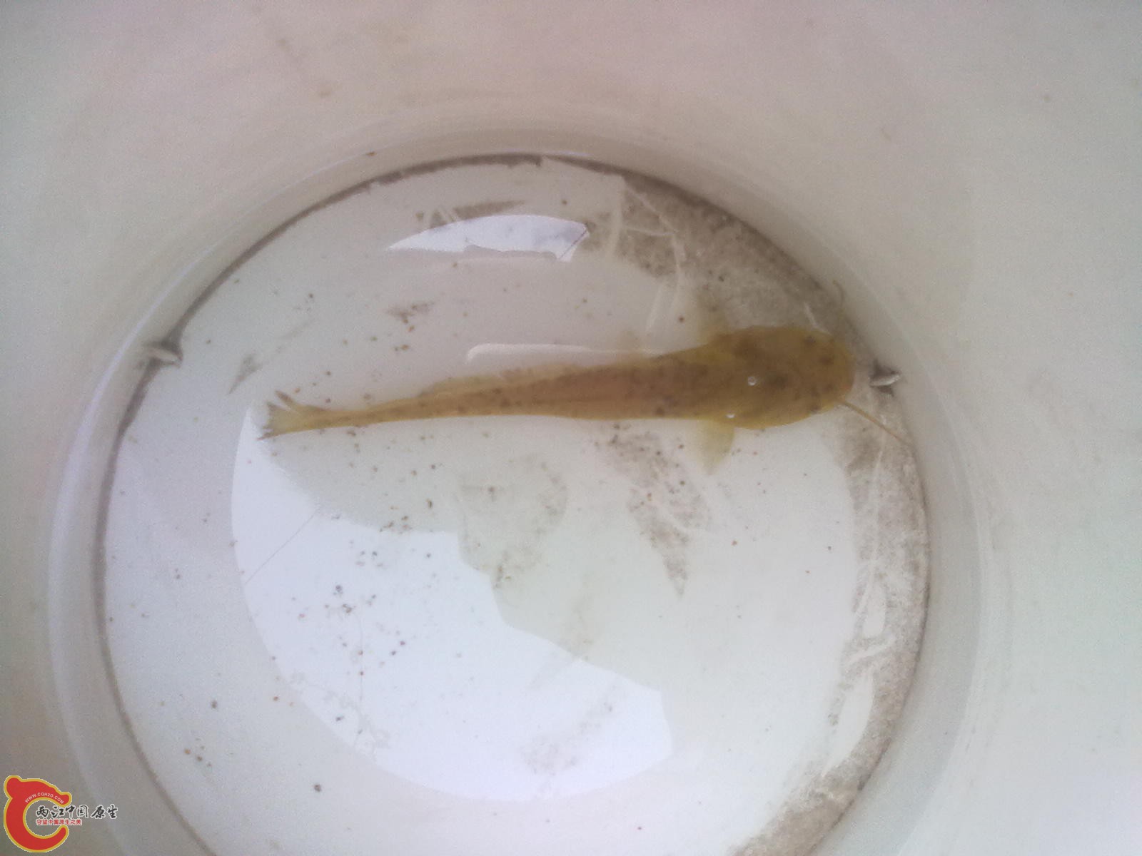 20120615149.jpg