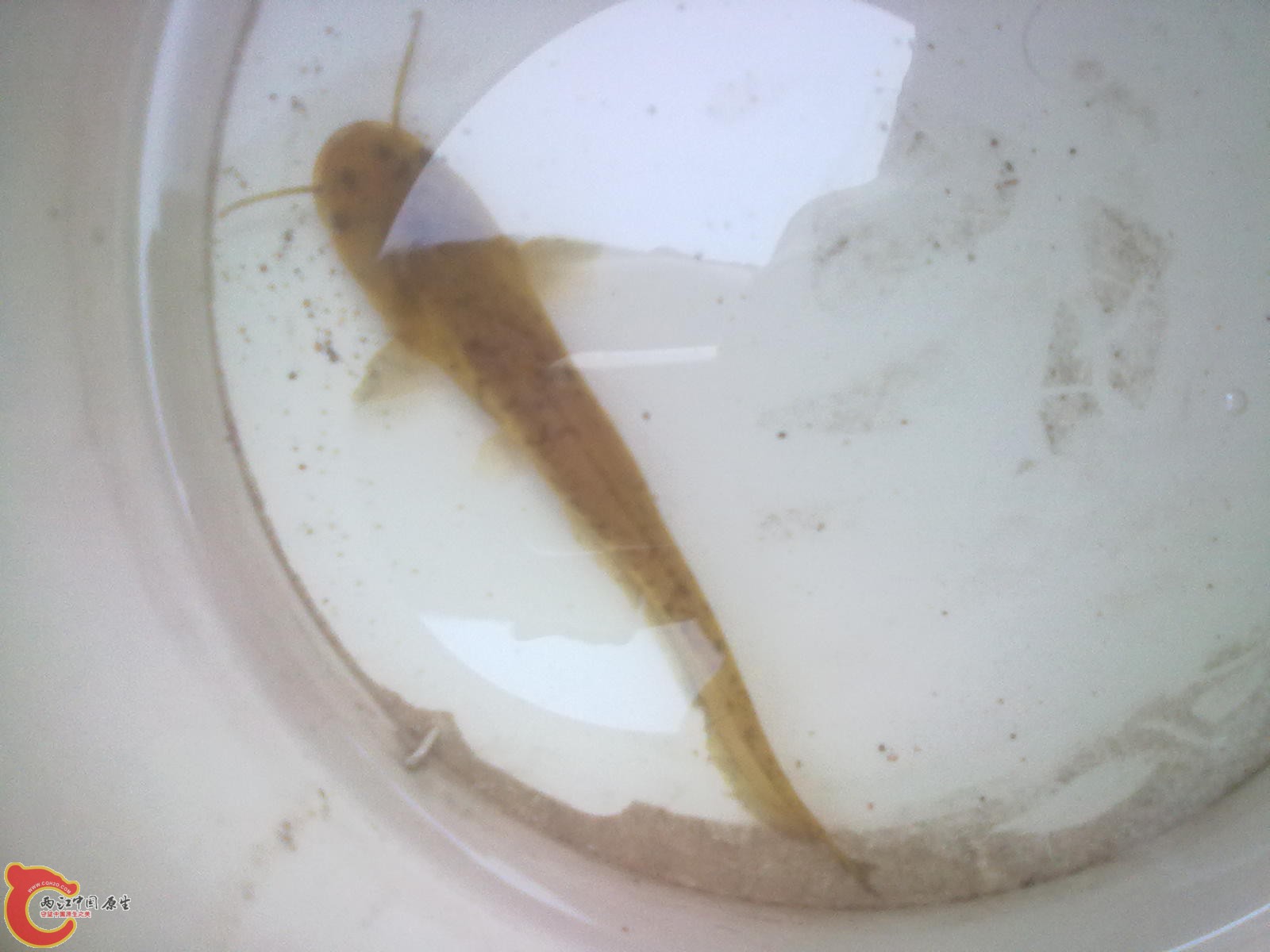 20120615151.jpg