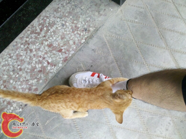 C360_2012-06-15-11-55-09.jpg