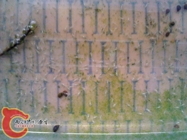 IMG_20120616_115202.jpg