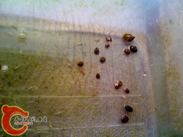 IMG_20120616_115228.jpg