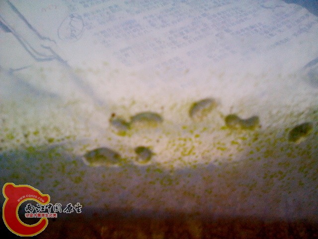 IMG_20120616_115242.jpg