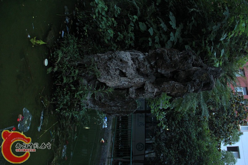 IMG_5057_副本.jpg