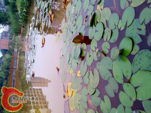 IMG_20120608_125820.jpg