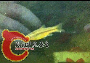 未命名2.jpg