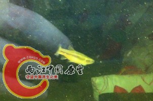 未命名1.jpg